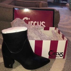 Circus by Sam Edelman. NEVER WORN.